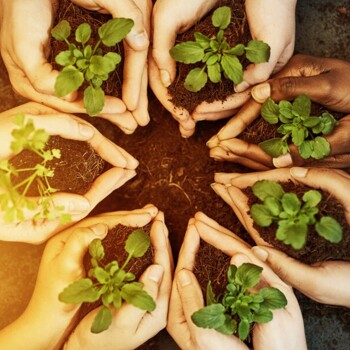 Climate Change All Change