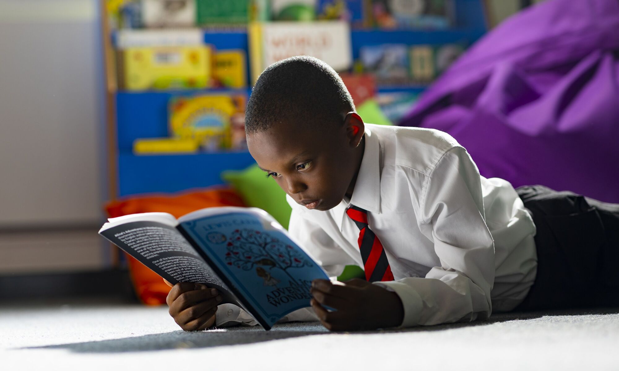 Heathfield Academy Image of Pupil Reading in the School Library