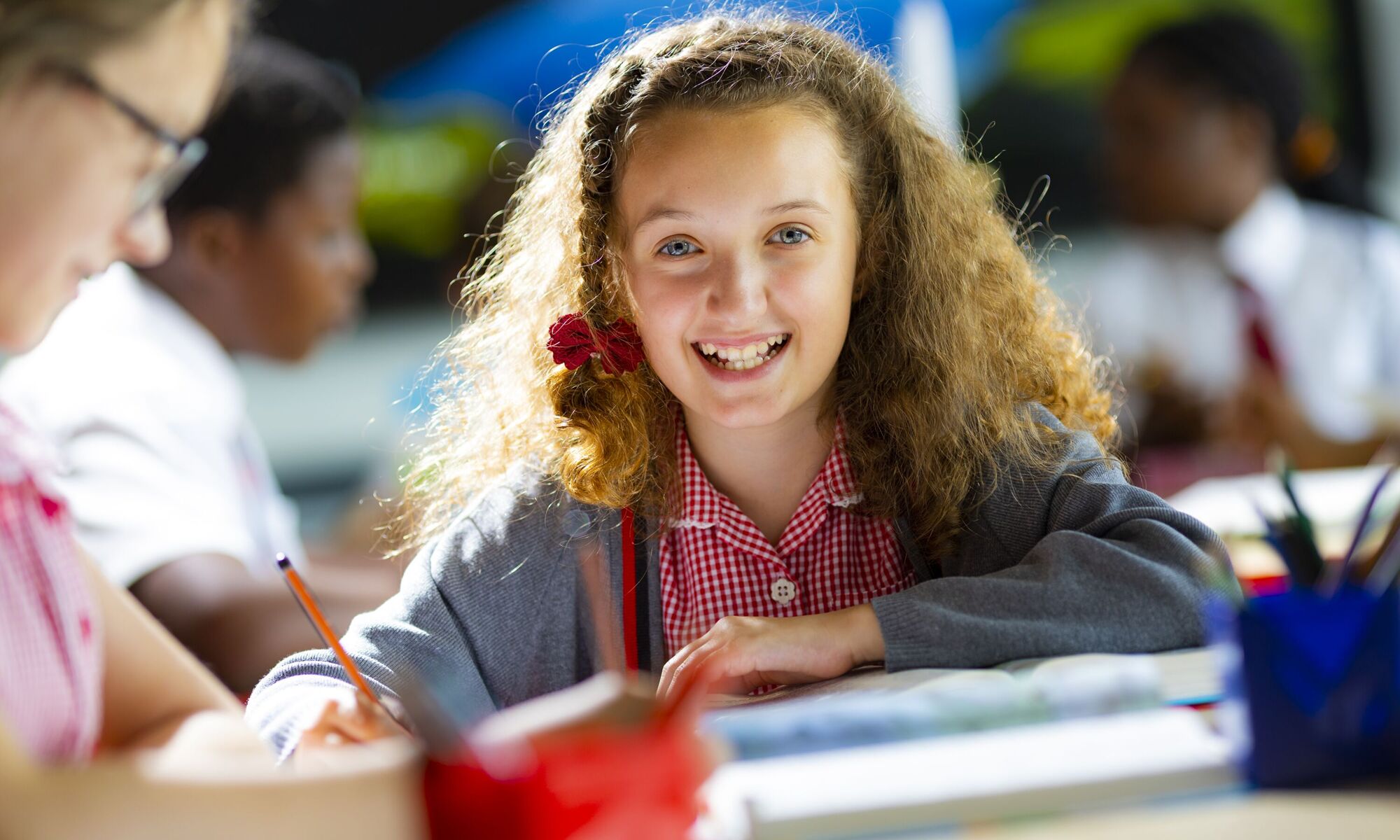 Heathfield Academy Image of Pupil in the Classroom